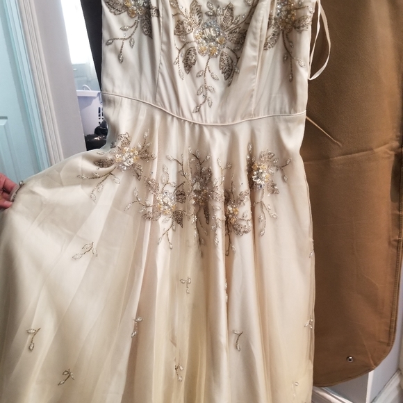 Fancy dress - Picture 3 of 4